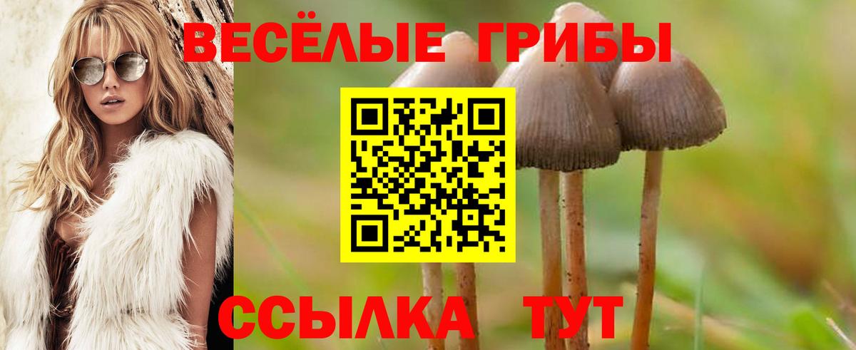 Коркино  Псилоцибиновые грибы Magic Shrooms  Вход с VPN 